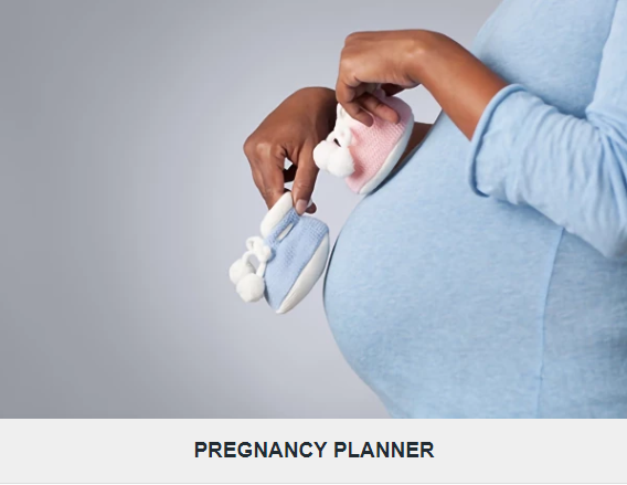 pregnancy planner